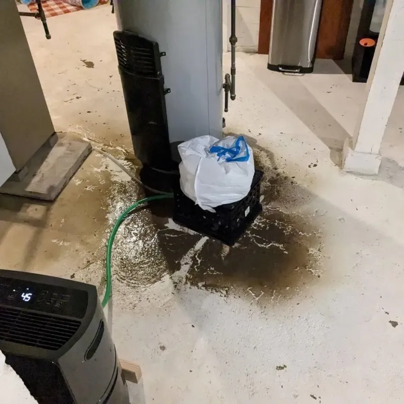 Sewage Backup Cleanup Service in Blythe, CA